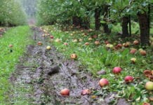 Nadchodzi niż – czekają nas intensywne opady
