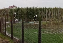 strazacy odpompowują wodę z zalanego sadu