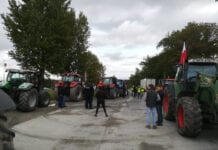 Rolnicy protestują: Czy sadownicy potrafiliby się zjednoczyć?