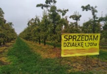 (Jaki jest) Główny powód sprzedaży gospodarstwa?