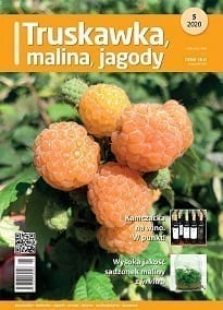 Truskawka Maliny Jagody - 5/2020 - okładka