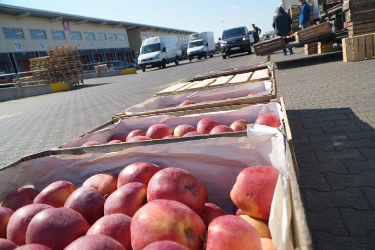 Bronisze 19.04.2021 – duża oferta jabłek i mało kupujących
