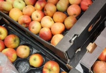 Statystycznie jabłka w sklepach drożeją, niestety, nie w hurcie