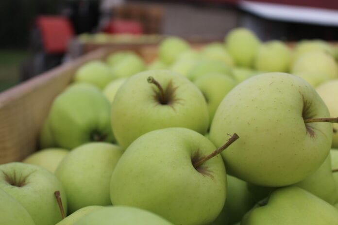 ceny jabłek w grupach
