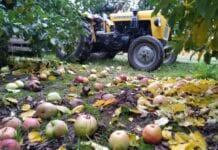 Jak miałaby działać aplikacja, która porównuje ceny na skupach?