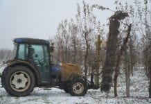 piła konturowa do cięcia sadu