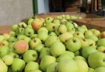 Może prościej wyprodukować przecier jabłkowy w Polsce niż sprowadzać go z Chile?