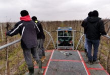 Korekta sadu po cięciu mechanicznym, Sadkowice, 26.01.2021 [Video]