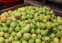 Golden na soki po raz kolejny w górę – 0,90 zł/kg