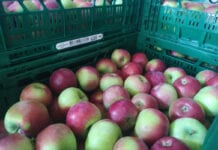 jabłka deserowe w marketach