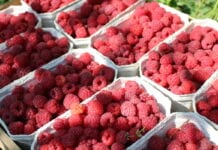 Ukraina tworzy z Wielką Brytanią strefę wolnego handlu