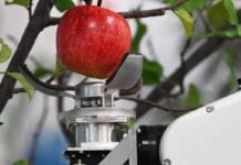 Japoński robot do zbioru jabłek w sprzedaży za 5 lat