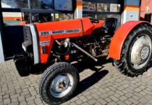 Efektowny Massey Ferguson 255 Turbo w gospodarstwie sadowniczym [Video]