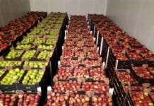 Statystyki WAPA – ile jabłek jest jeszcze w europejskich i polskich chłodniach?