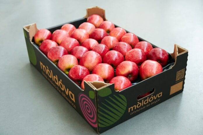 moldova fruct marka jabłek