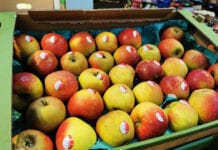 supermarkety