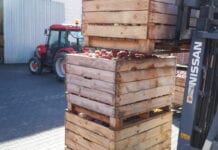 Jabłka w Serbii poczekają w chłodniach na lepsze ceny