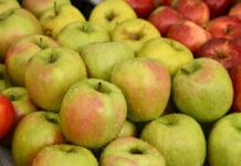 Przyszłość handlu owocami – wszystko zrobi się „samo”?