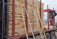 Ceny drewnianych palików
