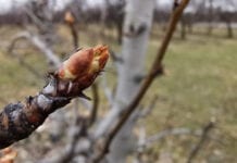 Przed nami duże zmiany temperatur i silniejsze wiatry