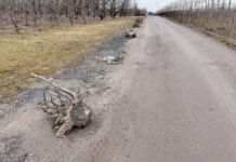 Sadownicy od wielu lat czekają na nową drogę [Zdjęcia]
