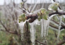 Weekend pod znakiem przymrozków w Hiszpanii i Południowym Tyrolu