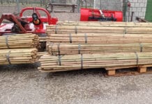 Tyczki bambusowe – niedobory i znaczny wzrost cen rok do roku