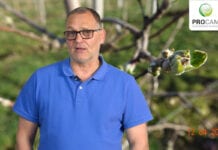 komunikat sadowniczy procam