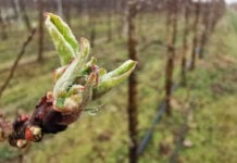 DORADCY FRUITAKADEMIA: Otwarcie sezonu ochrony sadów [Video]