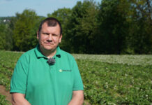 Aktualna sytuacja na plantacjach truskawek – komunikat jagodowy Rafał Forc, 27.05.2020