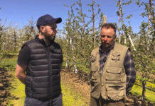 Szymon Jabłoński i Dariusz Cieślak: Ochrona jabłoni przed i w trakcie kwitnienia