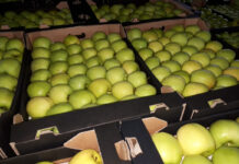 Cennik jabłek na sortowanie – 10 maja 2021