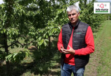 Zalecenia ochrony i nawożenia dla gatunków pestkowych – komunikat sadowniczy Agrosimex