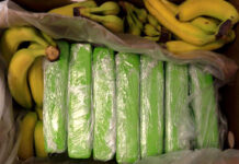 160 kilogramów kokainy ukrytych w bananach