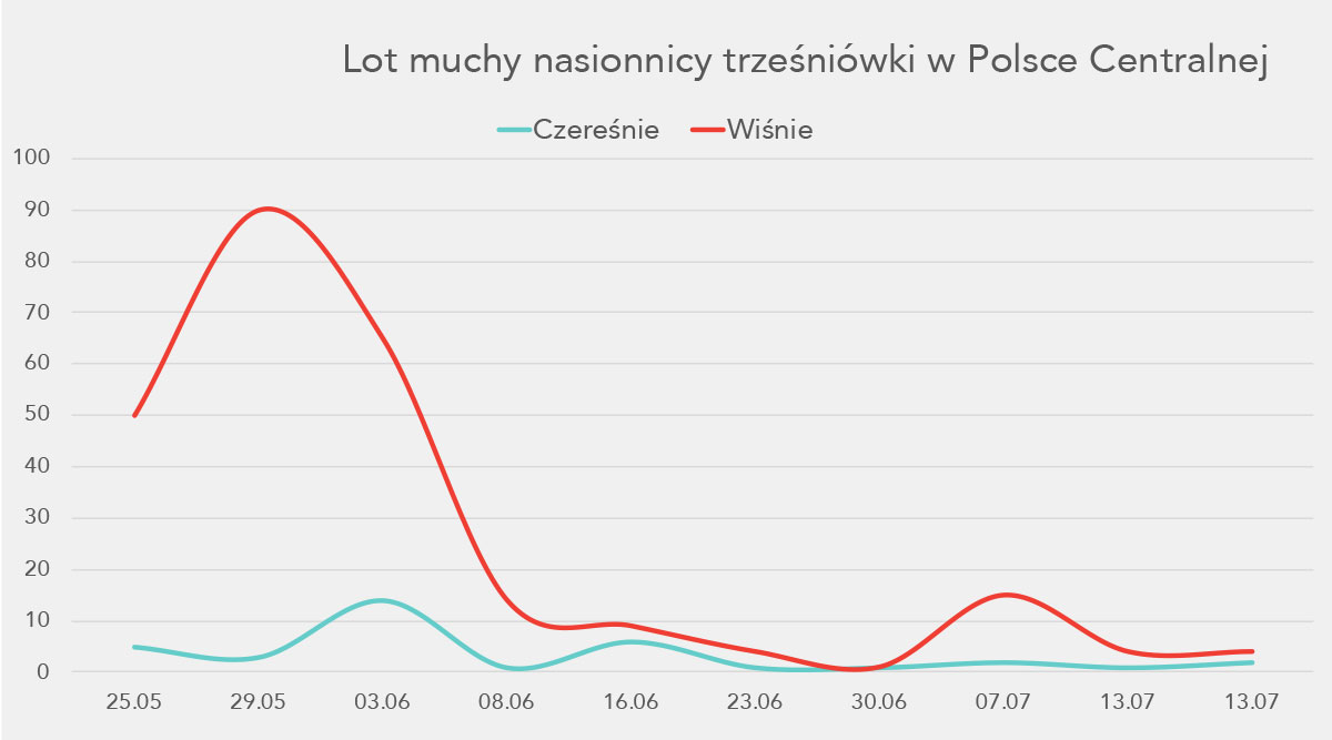 Wykres. Lot muchy nasionnicy trześniówki w Polsce Centralnej