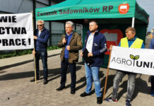 Protest: Sadownicy ustalają minimalną cenę jabłek przemysłowych na 50 groszy