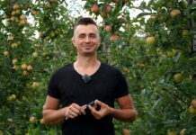 Poprawa wielkości jabłek odmian drobnoowocowych – Łukasz Dobrosz, NaturalCrop, 12.08.2021