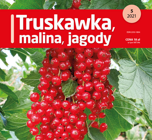 Truskawka malina jagody - nr 5/2021 - okładka