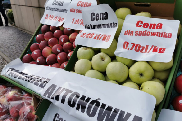 Sadownicy nie powinni sprzedawać jabłek deserowych poniżej 2 zł/kg
