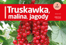 Truskawka, malina, jagody 5/2021