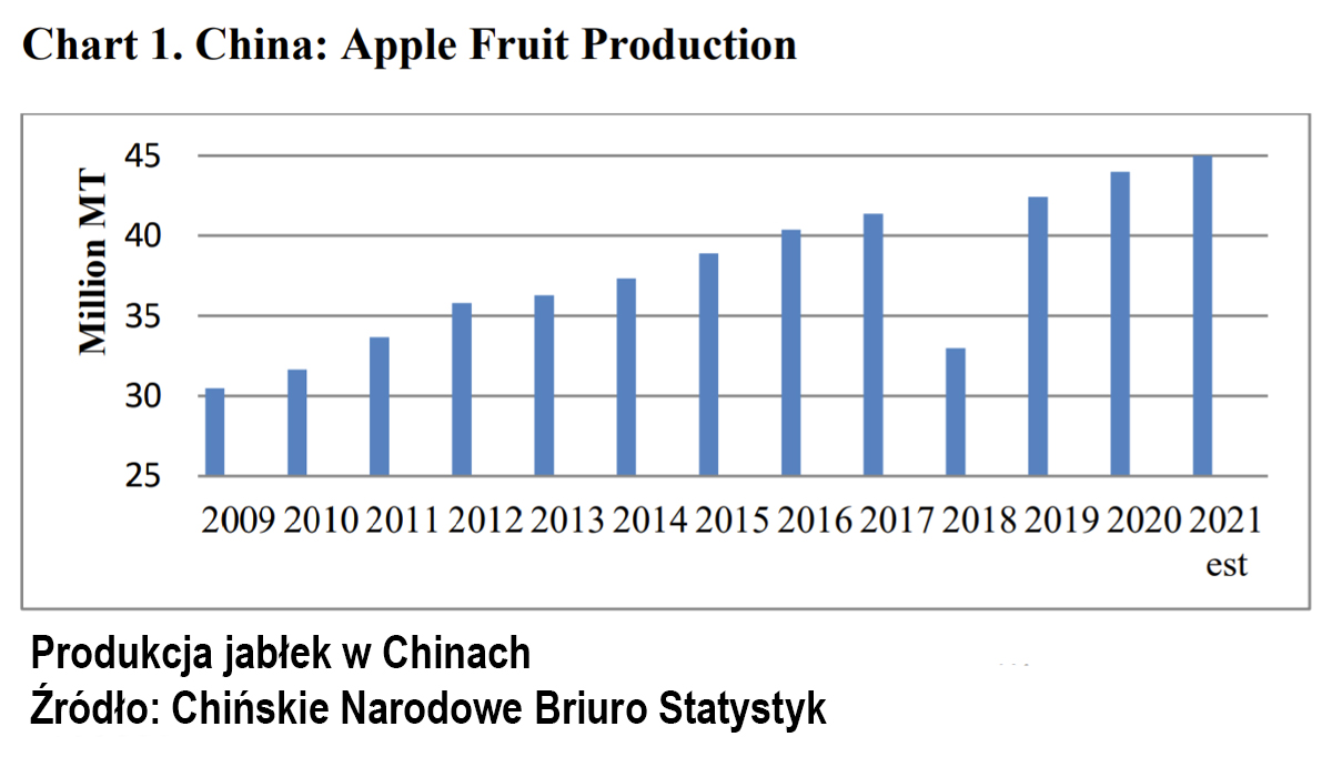 produkcja jabłek w Chinach