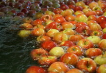 Ceny jabłek w grupach producenckich – 30 listopada 2021