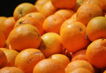 Lidl oskarżany o zaniżanie cen pomarańczy w Hiszpanii