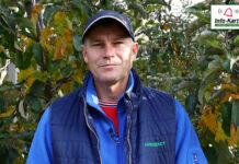 Komunikat sadowniczy – Robert Binkiewicz, Agrosimex, 03.11.2021