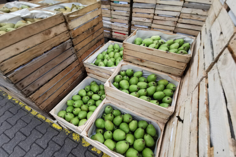 Wieści z Białorusi to błyskawiczny wzrost cen gruszek w Beneluksie