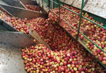 T.B. Fruit kończy działalność w Polsce?