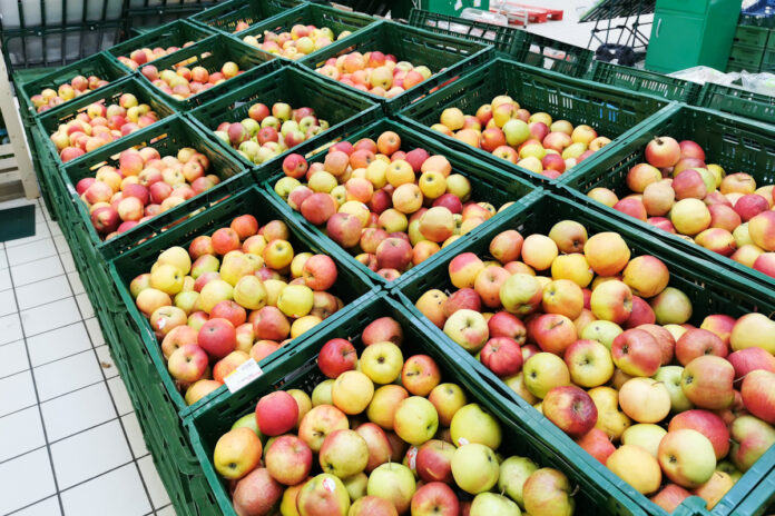 jabłka market
