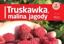 Truskawka, malina, jagody 6/2021