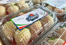 Włosi rozpoczynają produkcję białych truskawek