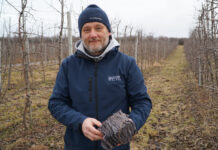 Dobroczynek gruszowy w walce ze szkodnikami – Lipowa, 18.02.2022